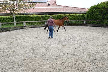 Sportgeneeskunde